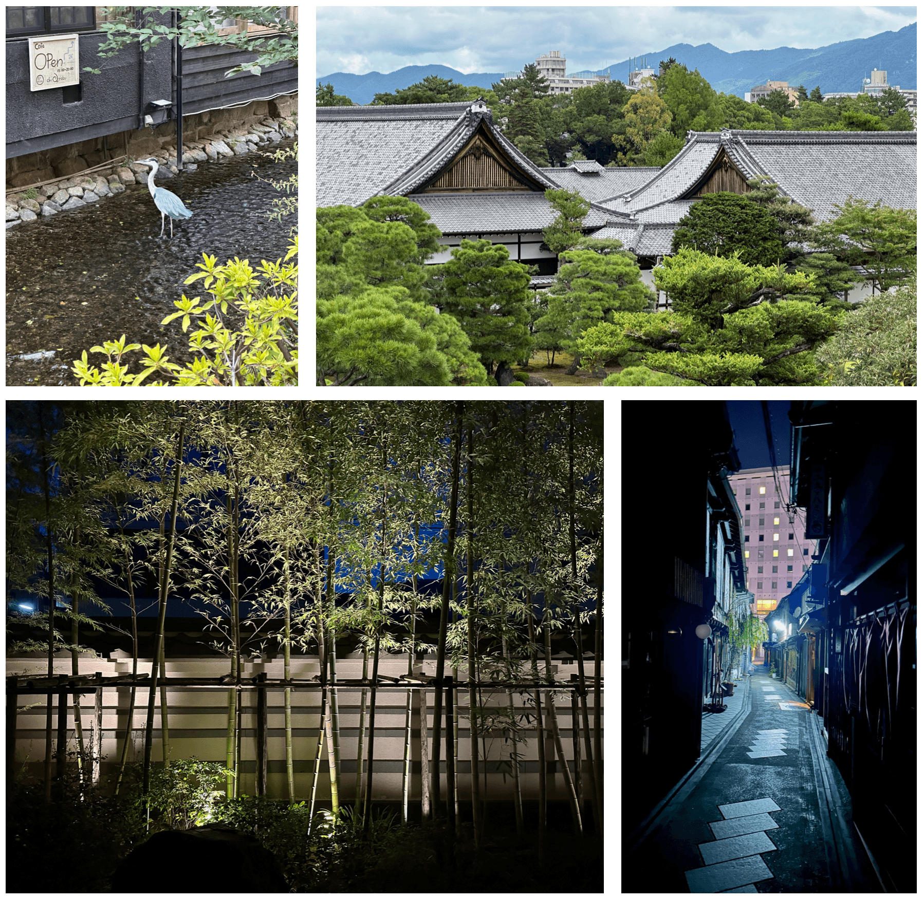 Daily Drops Are Coming, and We're Moving to Kyoto