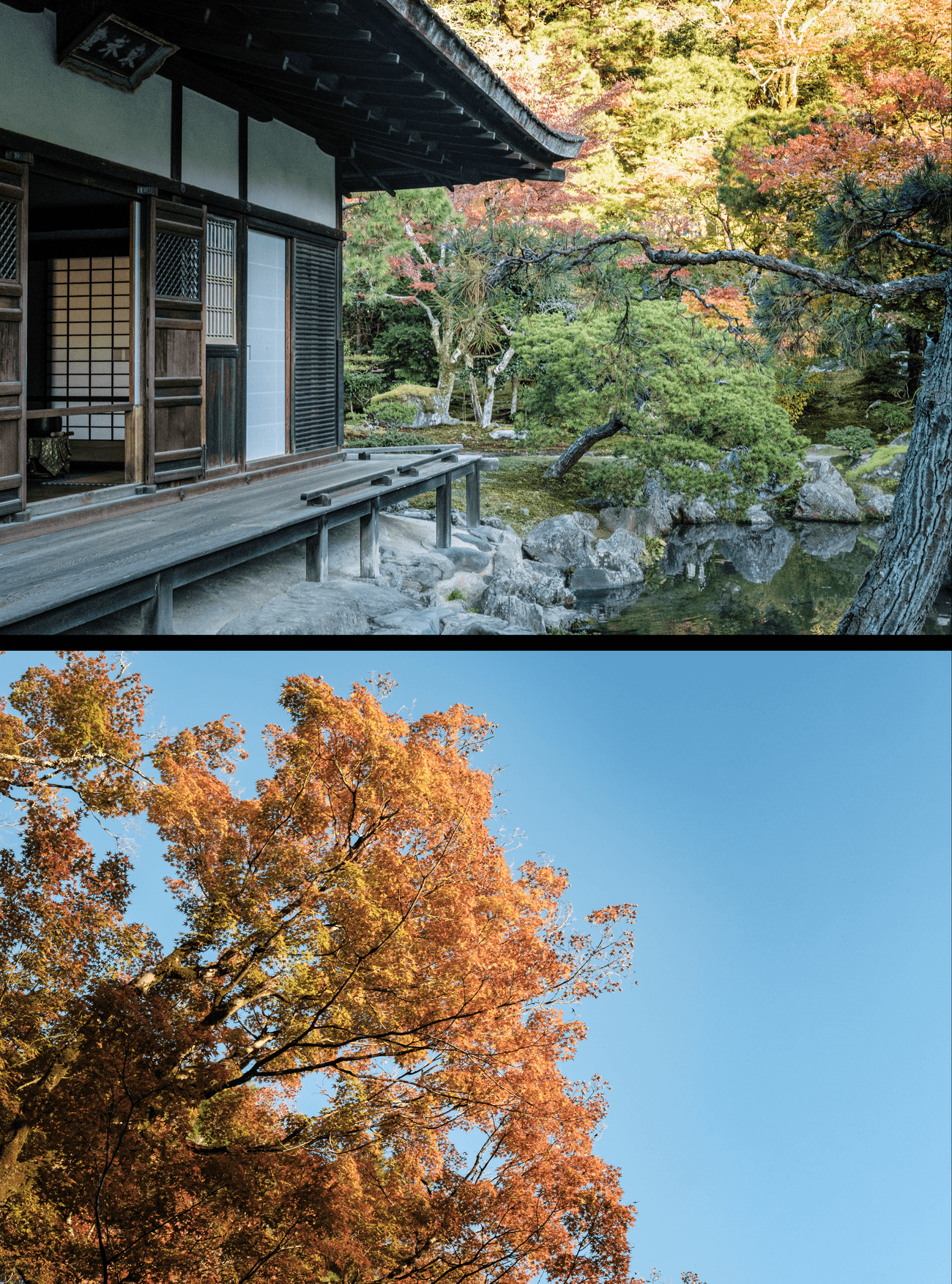 Kyoto's Ginkaku-ji in late autumn
