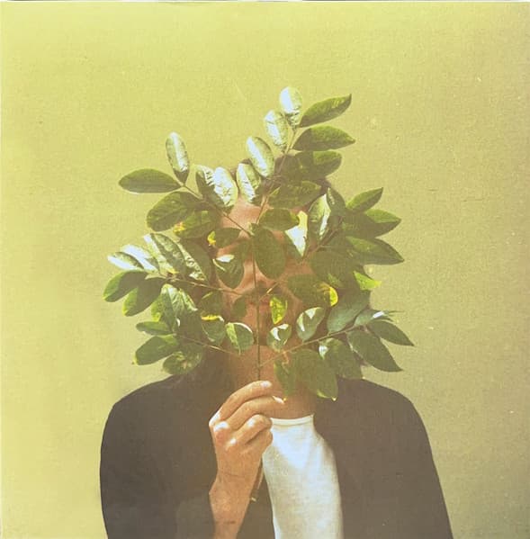 French Kiwi Juice cover art