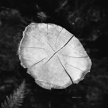 The album art for today's daily drop.