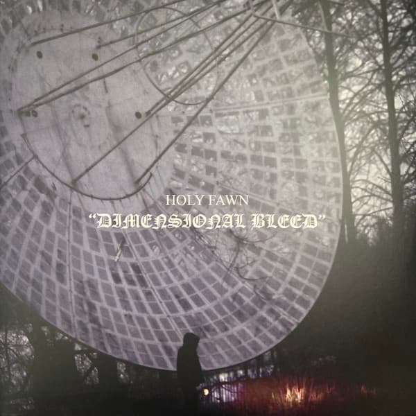 Dimensional Bleed cover art