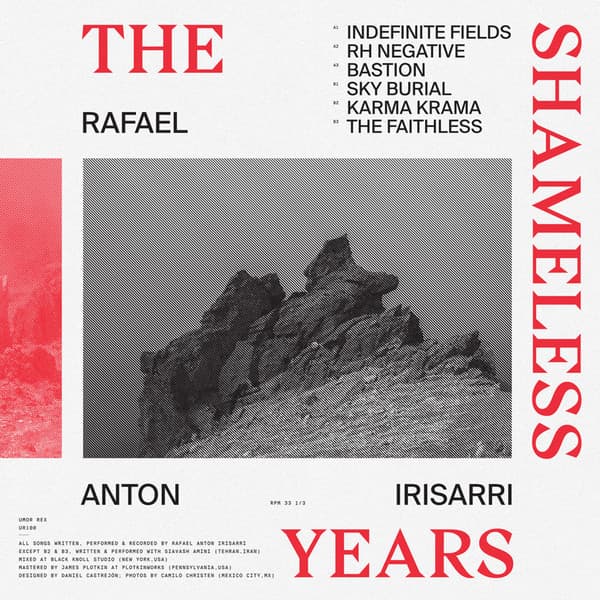 The Shameless Years cover art