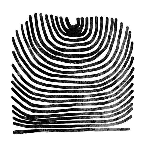 The album art for today's daily drop.