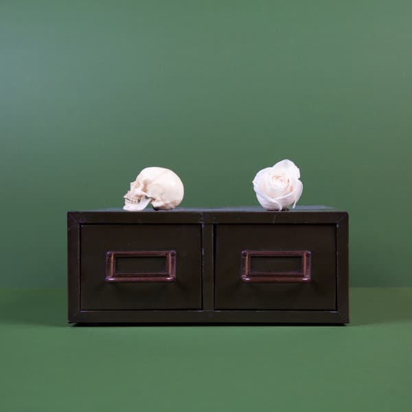 Archive: The Downwards Singles cover art