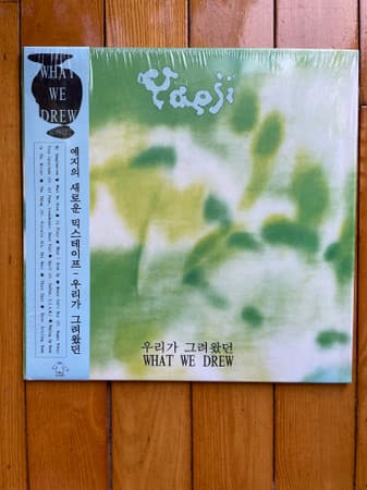 What We Drew = 우리가 그려왔던 cover art
