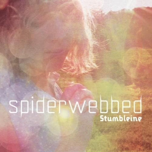 Spiderwebbed cover art