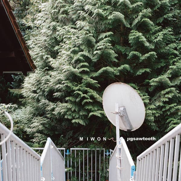 Jigsawtooth cover art