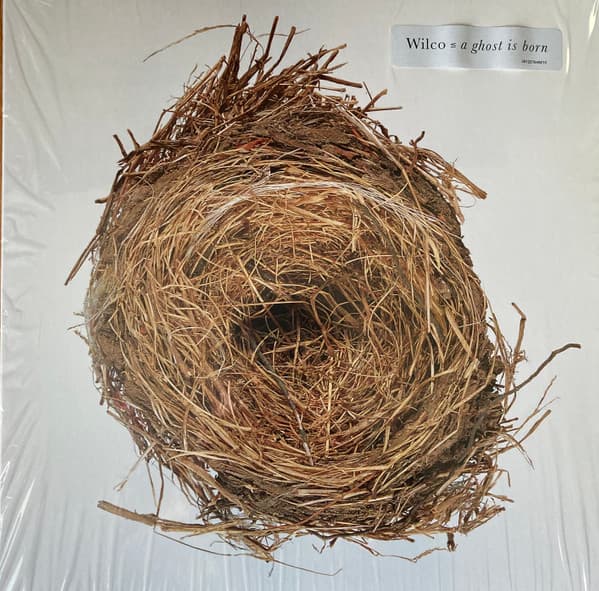 A Ghost Is Born cover art