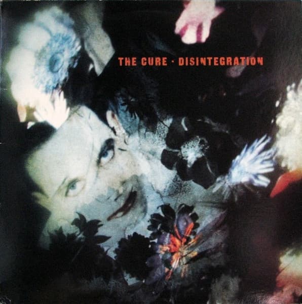 Disintegration cover art