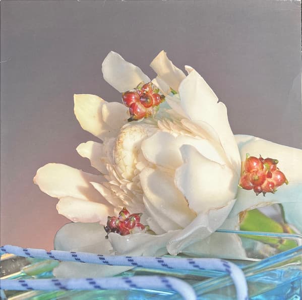 The album art for today's daily drop.