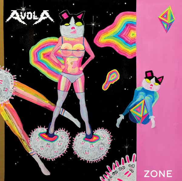 Zone cover art