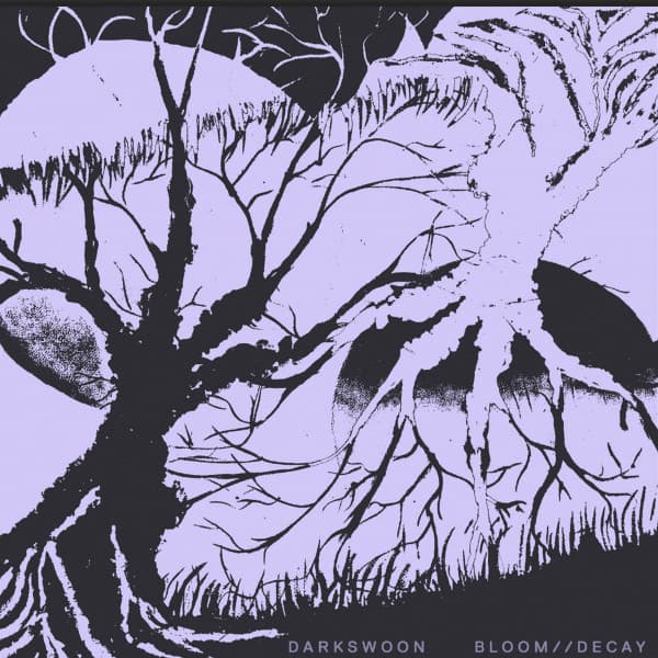 Bloom Decay cover art