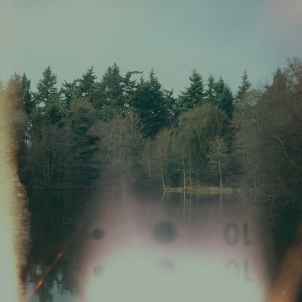 The album art for today's daily drop.